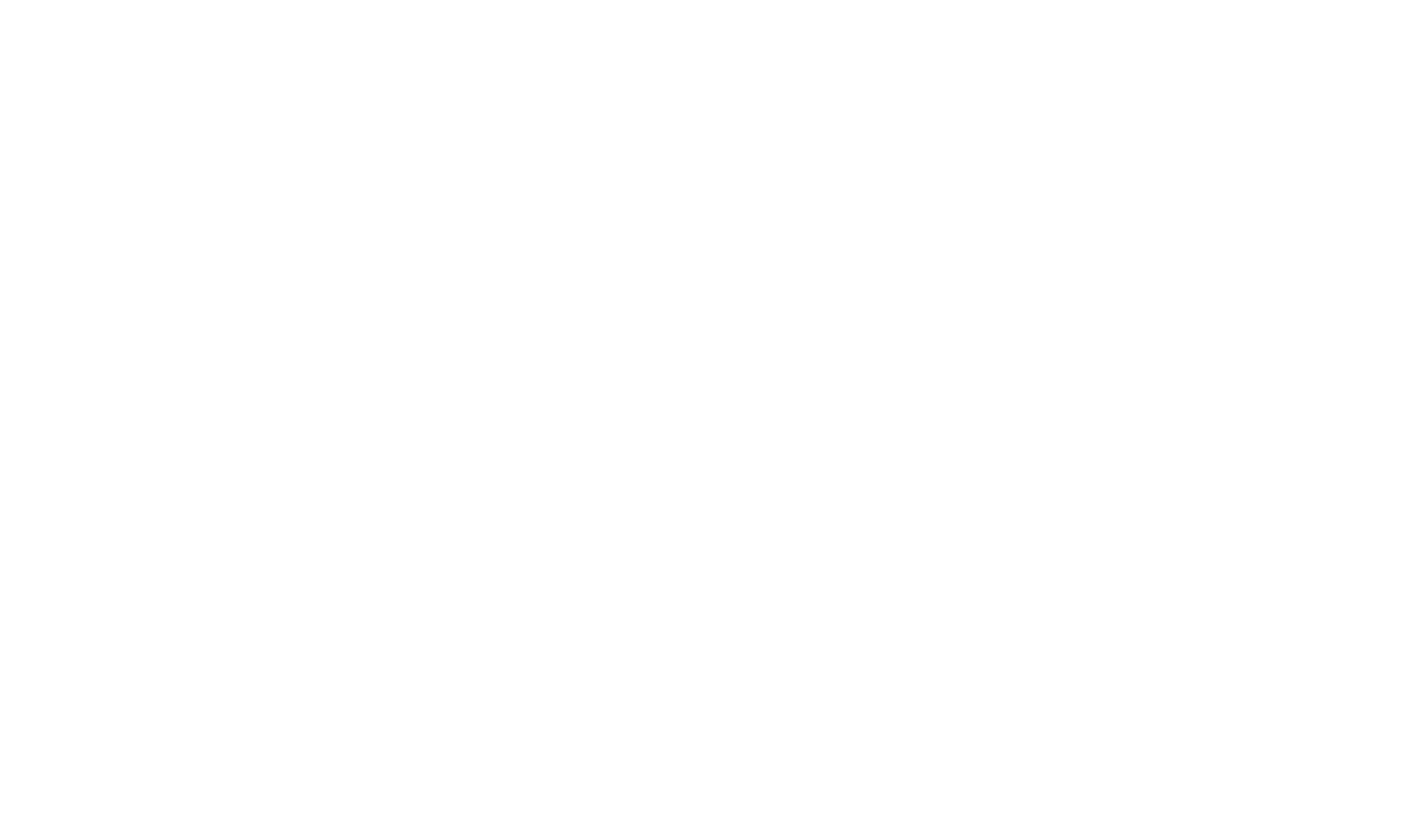 PrimeConsulting company logo with white text on transparent background.